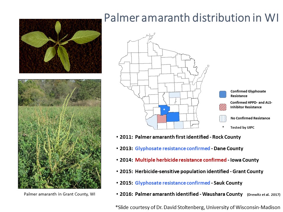 "Palmer distribution"